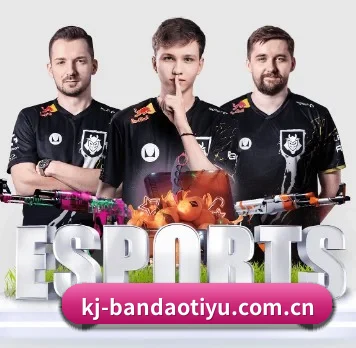 国际化进程 - BandaoSports
